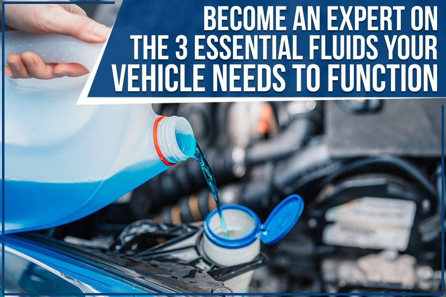 Become An Expert On The 3 Essential Fluids Your Vehicle Needs To Function